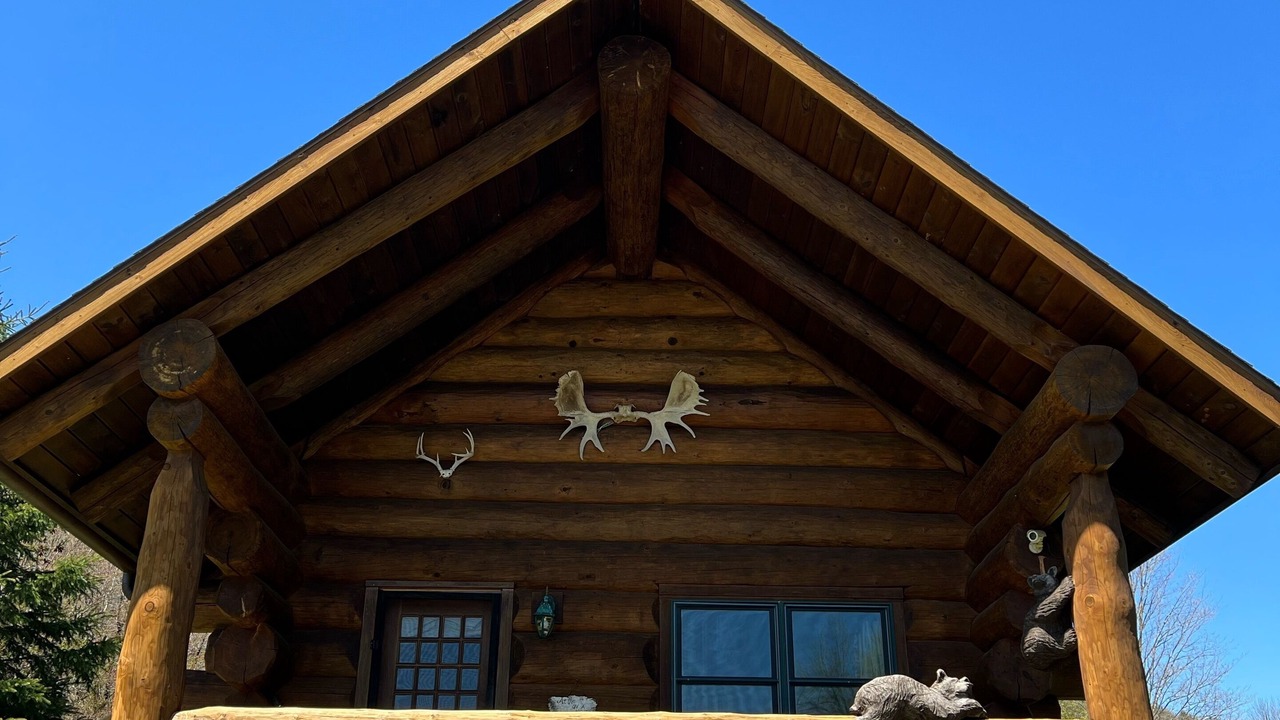 Photo of Outdoor in Starlight