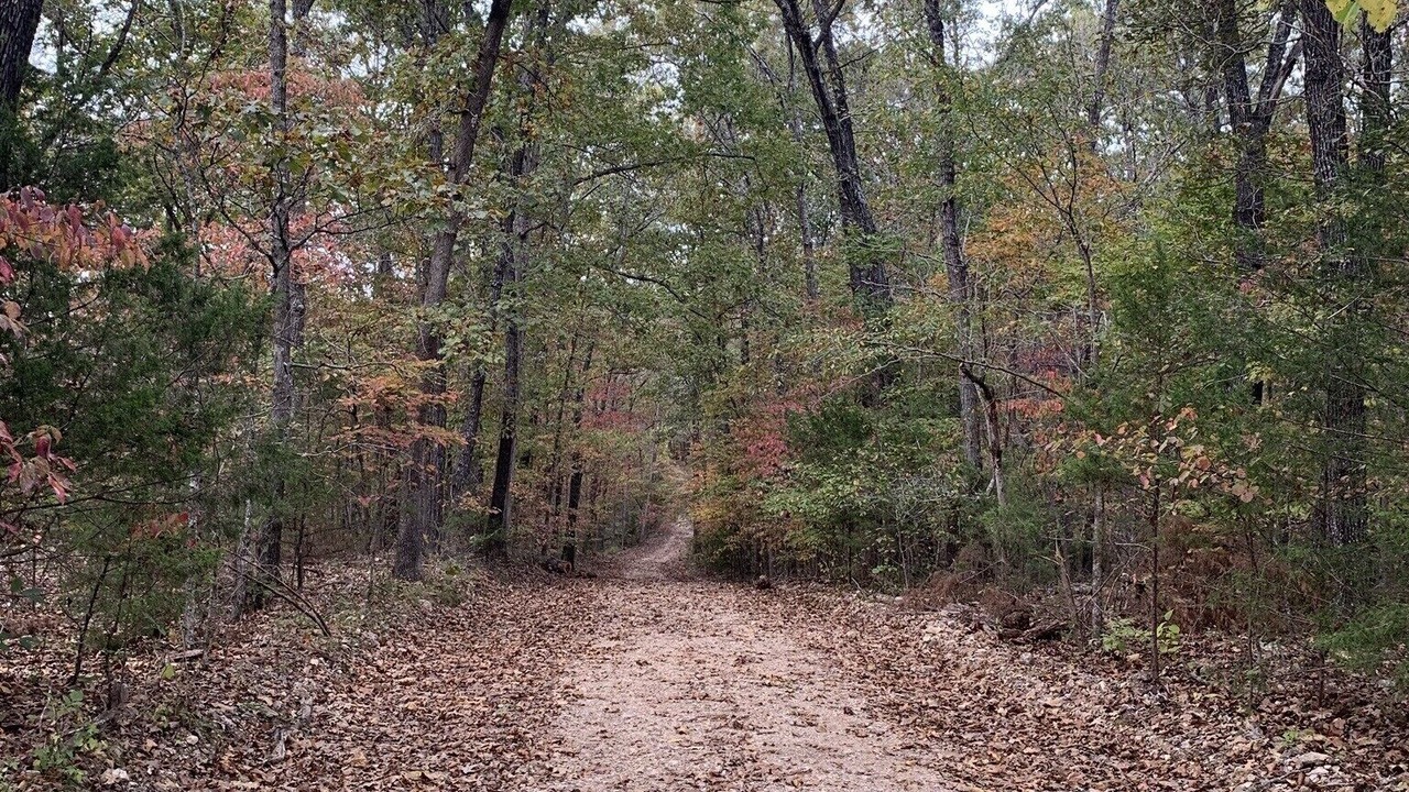 Photo of Others in Bull Shoals