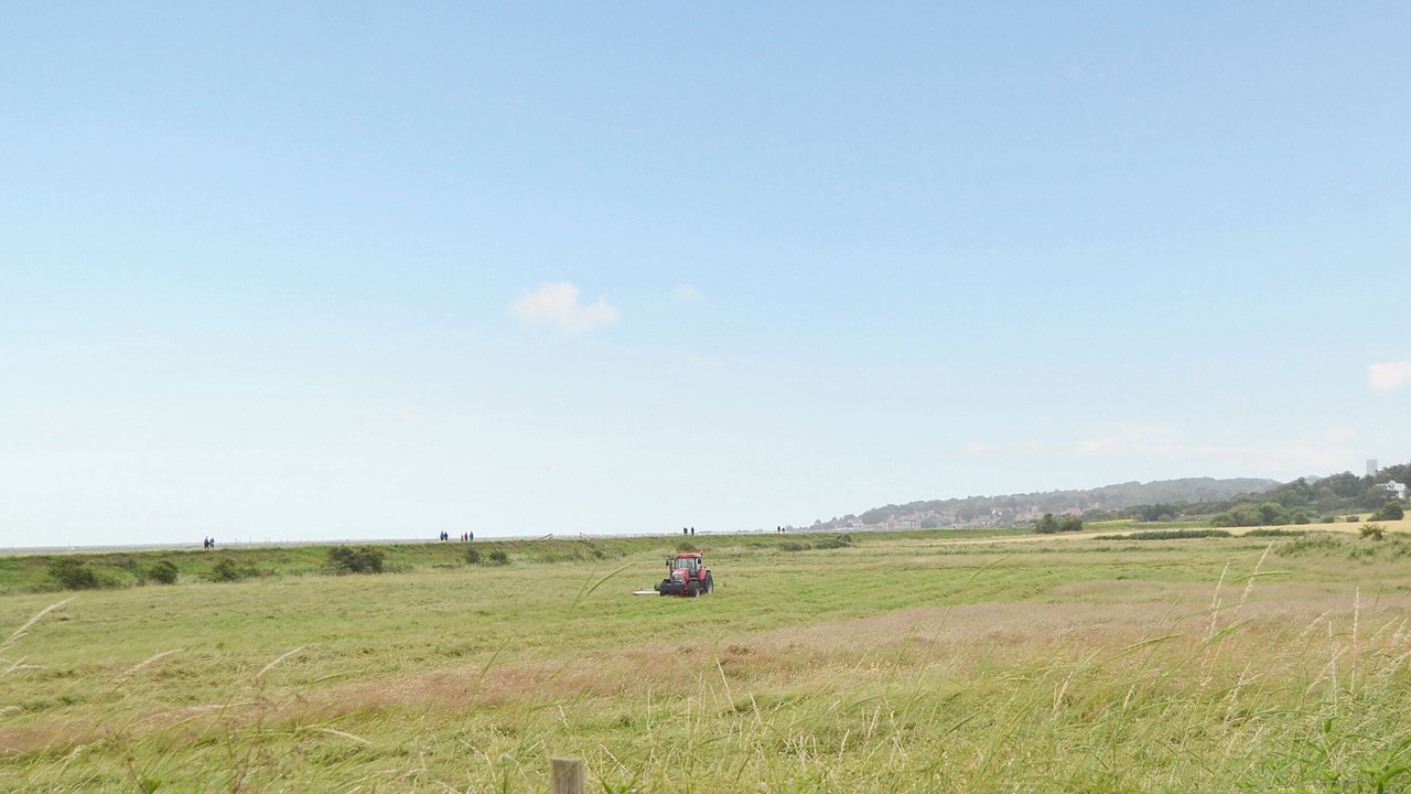 Photo of Others in Morston