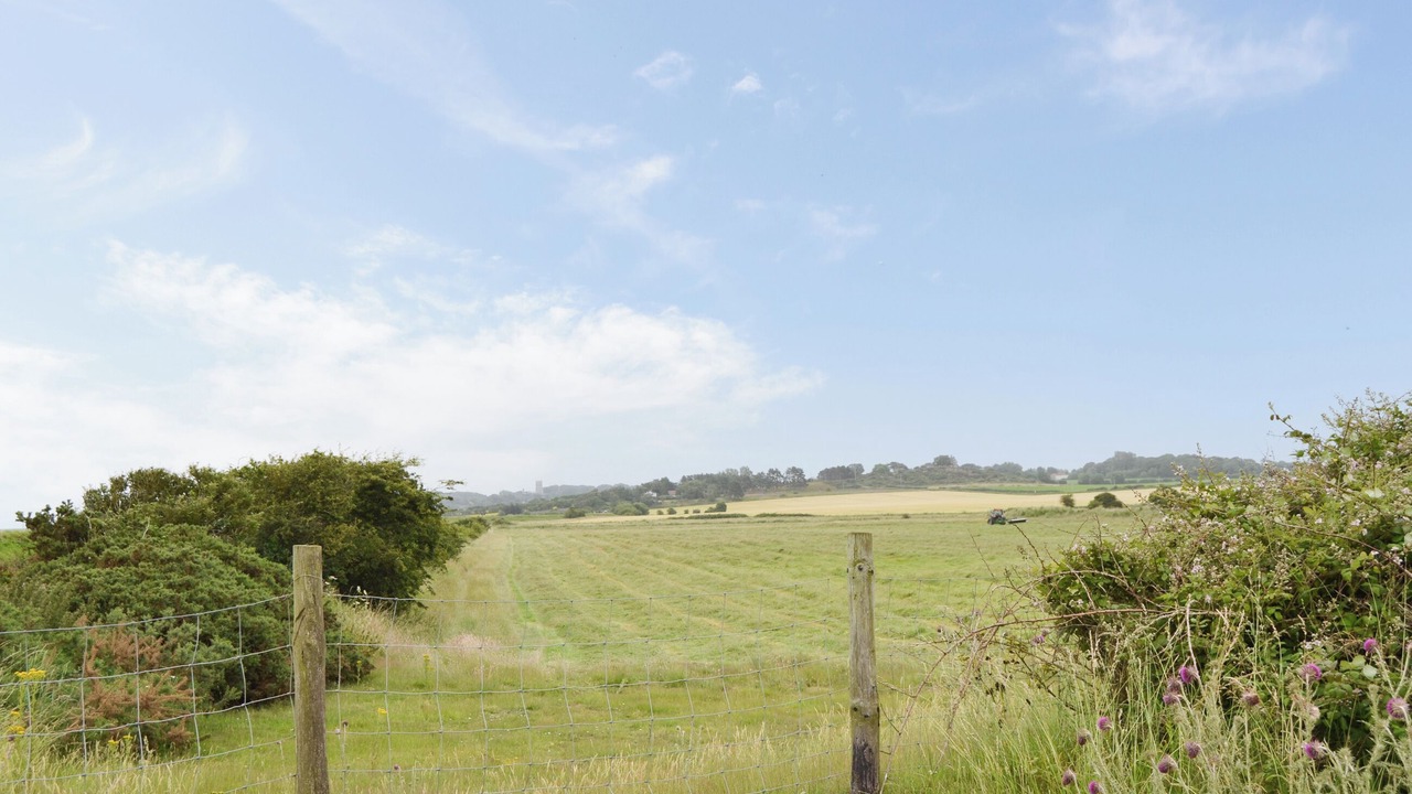 Photo of Others in Morston