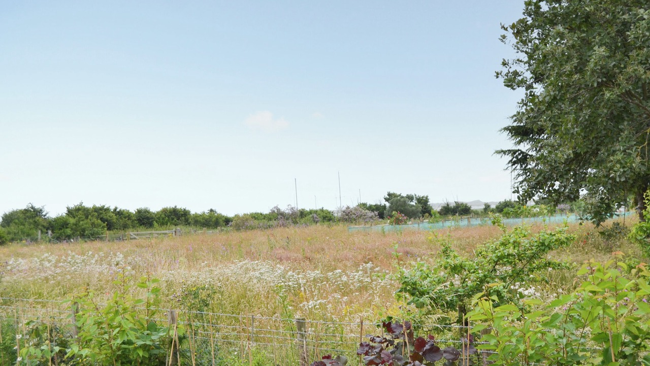 Photo of Others in Morston