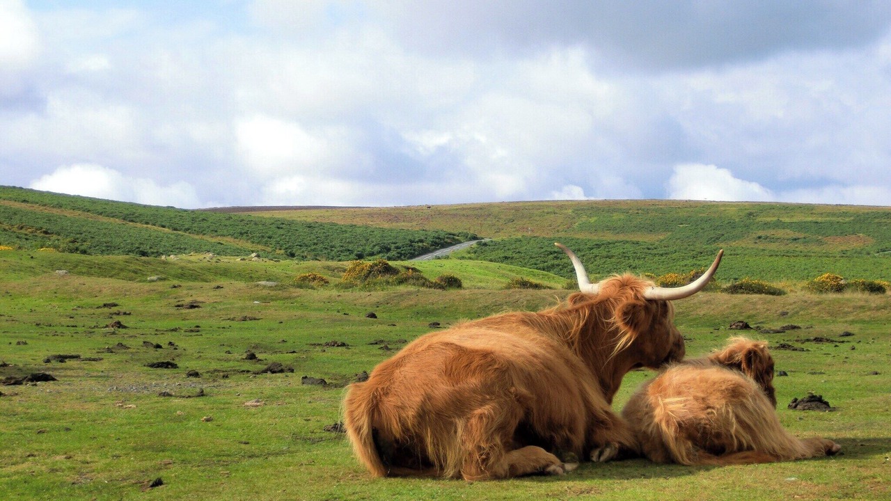 Photo of Others in Bridford