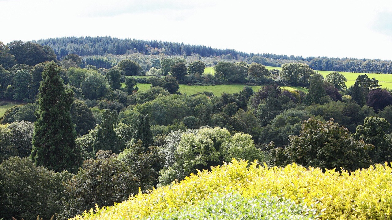 Photo of Others in Bridford