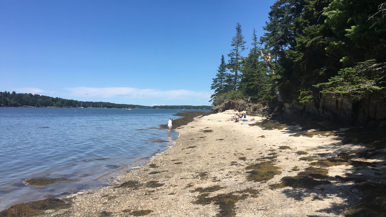 Photo of Others in Bailey Island