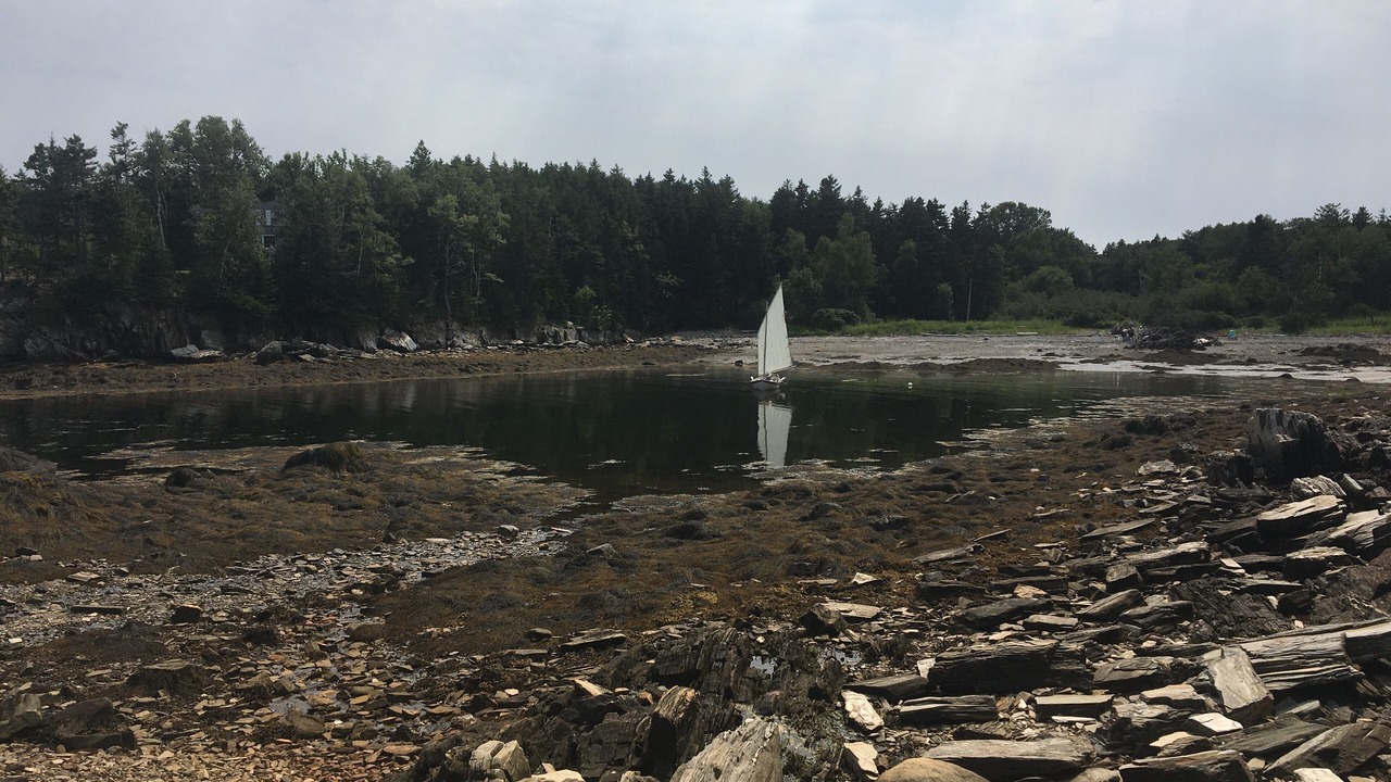 Photo of Others in Bailey Island