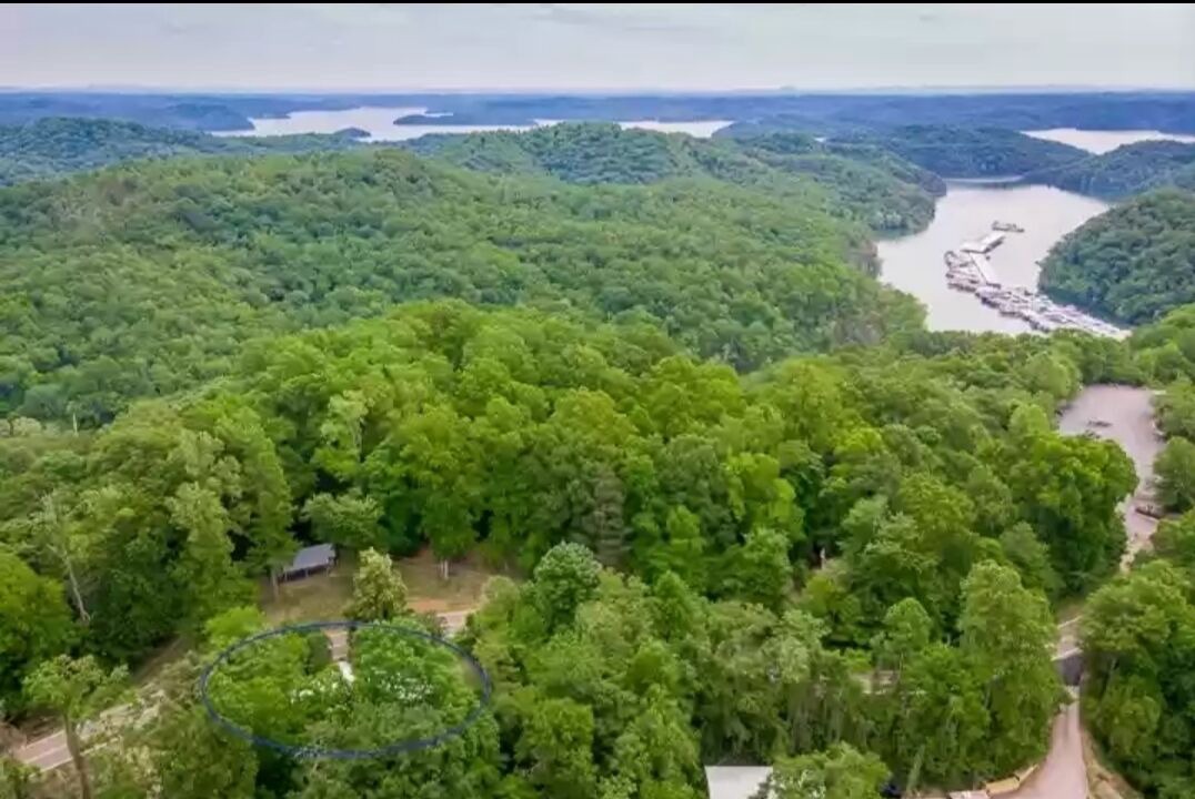 Photo of Outdoor in Celina