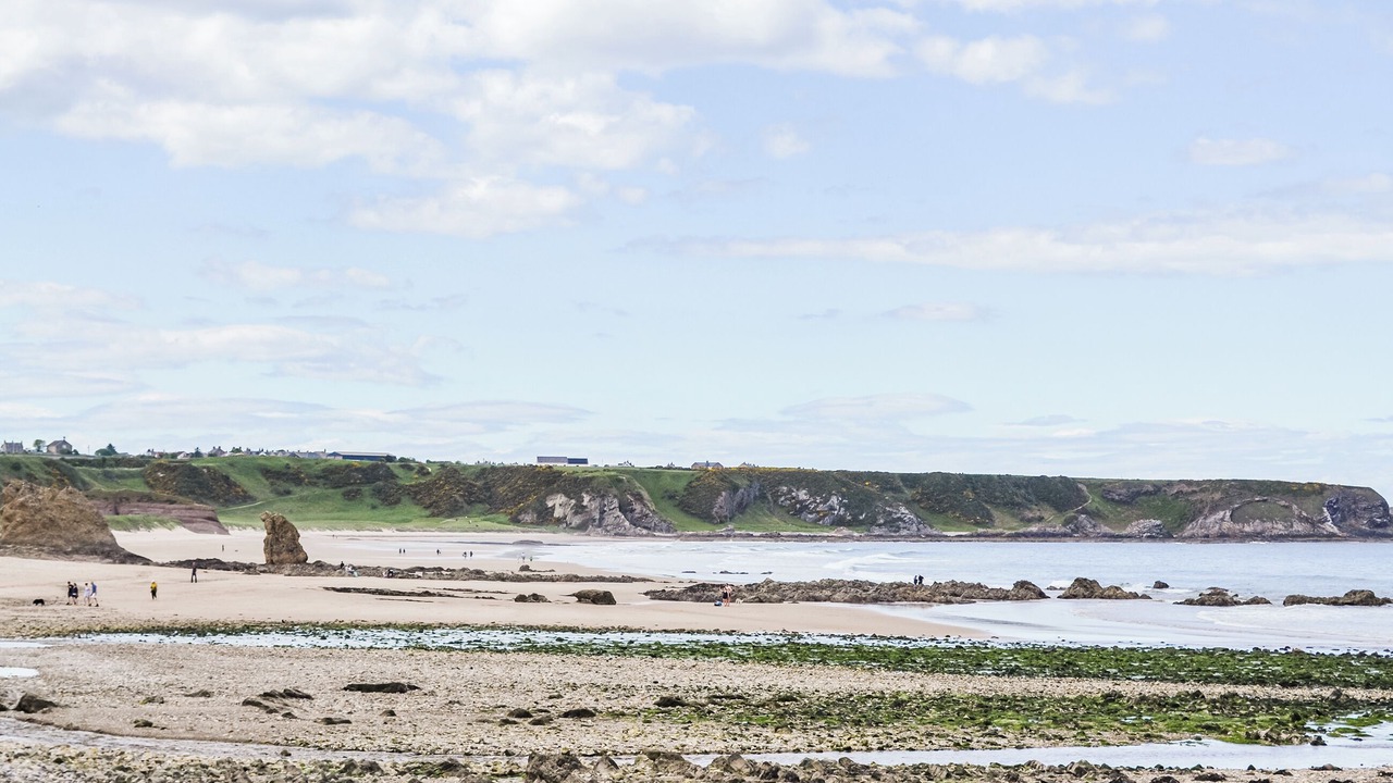 Photo of Others in Cullen