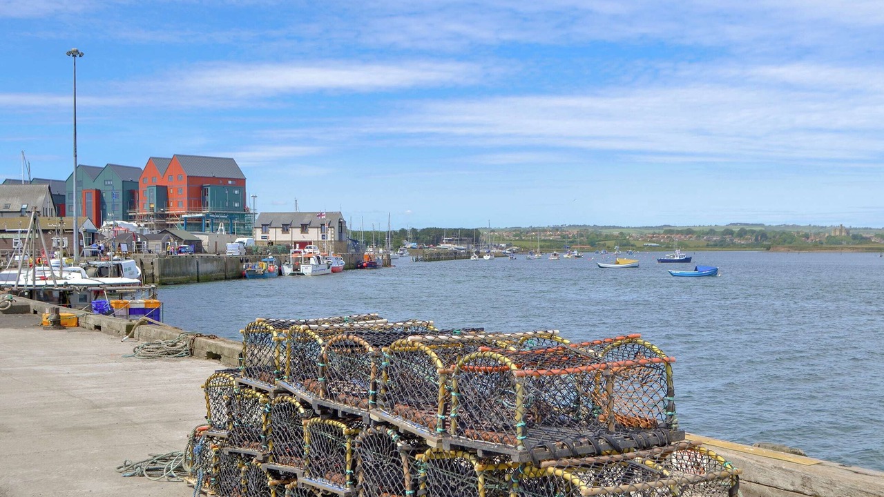 Photo of Others in Amble