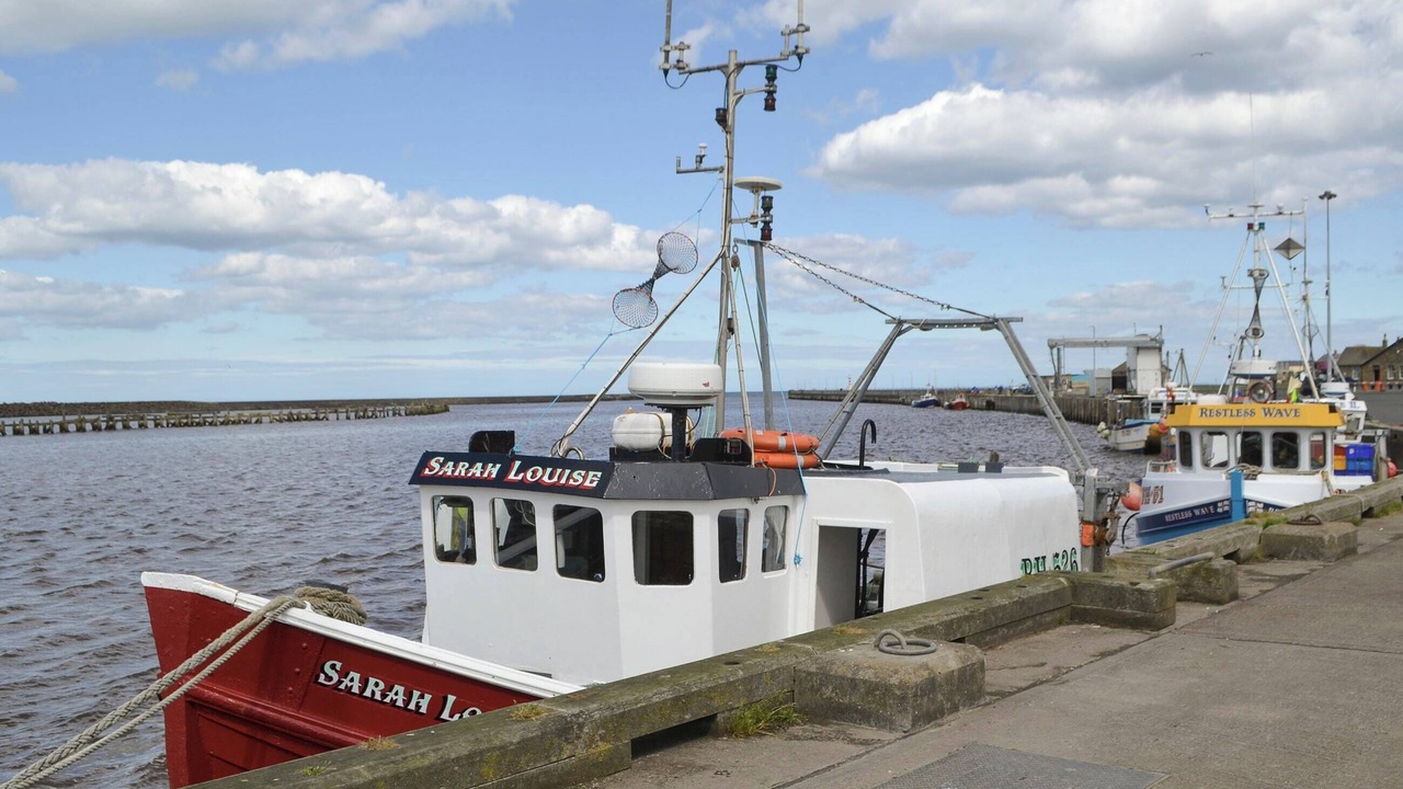 Photo of Others in Amble