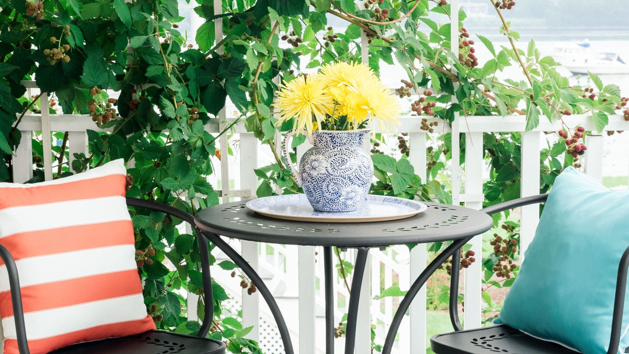 Photo of Outdoor in Somerset