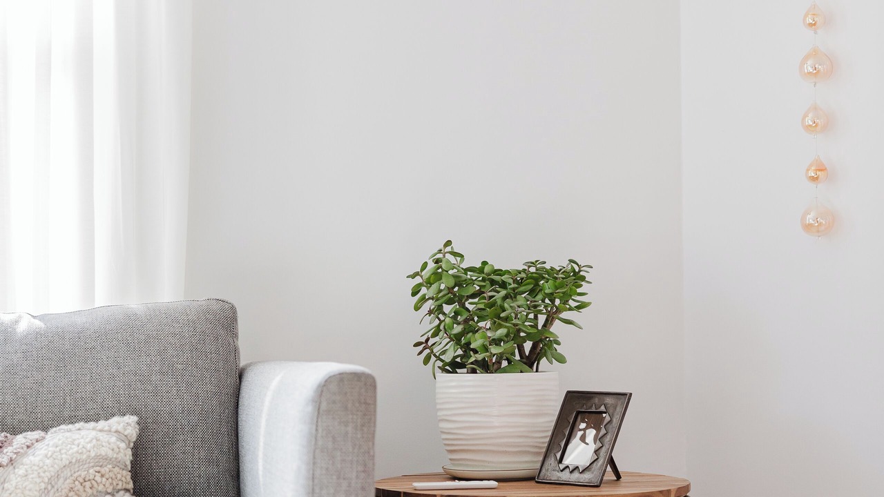 Photo of Livingroom in Somerset