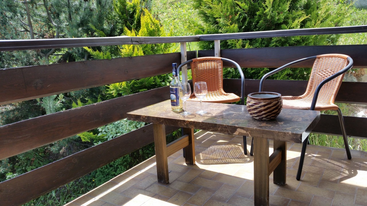 Photo of Patio Balcony in La Tzoumaz
