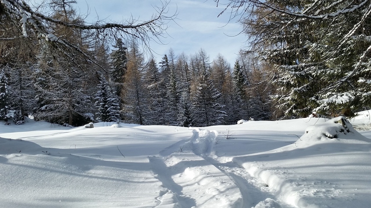 Photo of Others in Mayens-de-Riddes