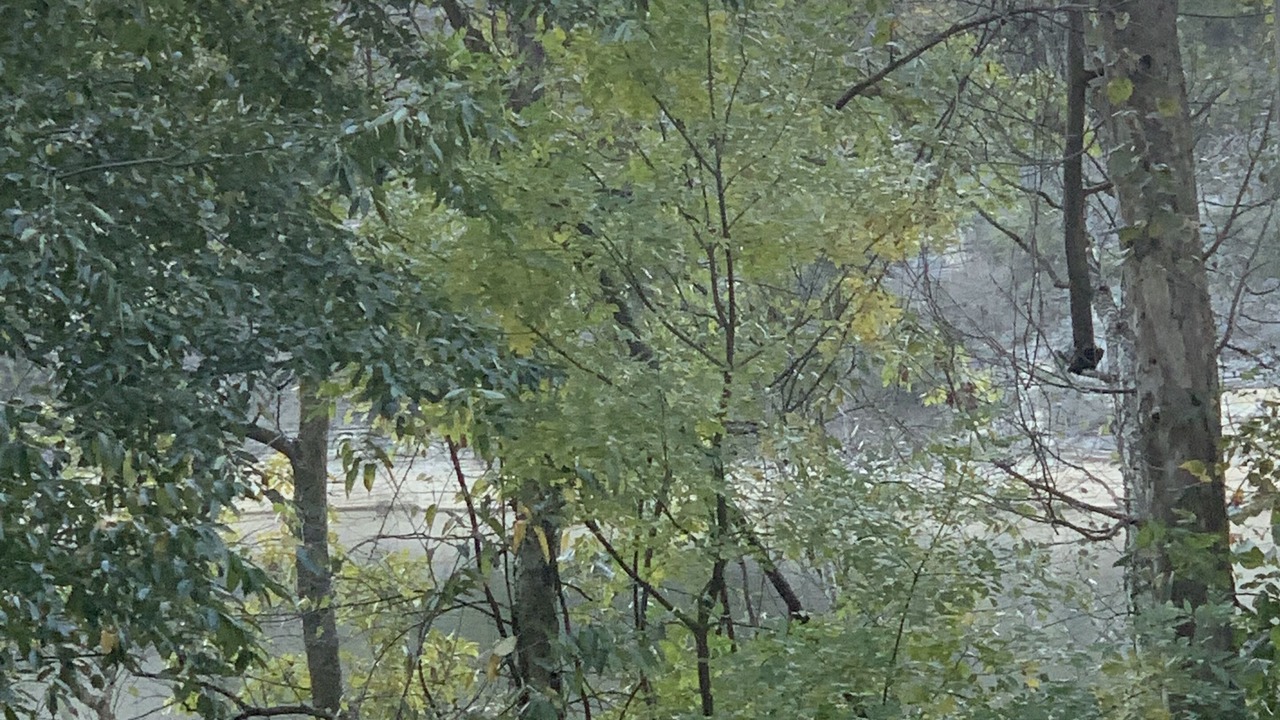 Photo of Outdoor in Springdale