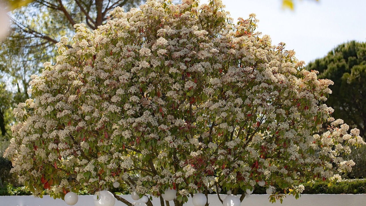 Photo of Outdoor in Bagard