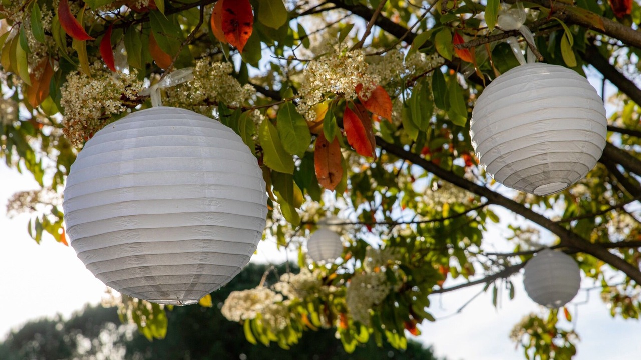 Photo of Outdoor in Bagard