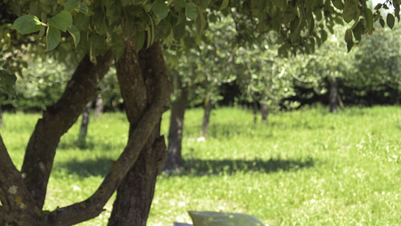 Photo of Outdoor in Bagard