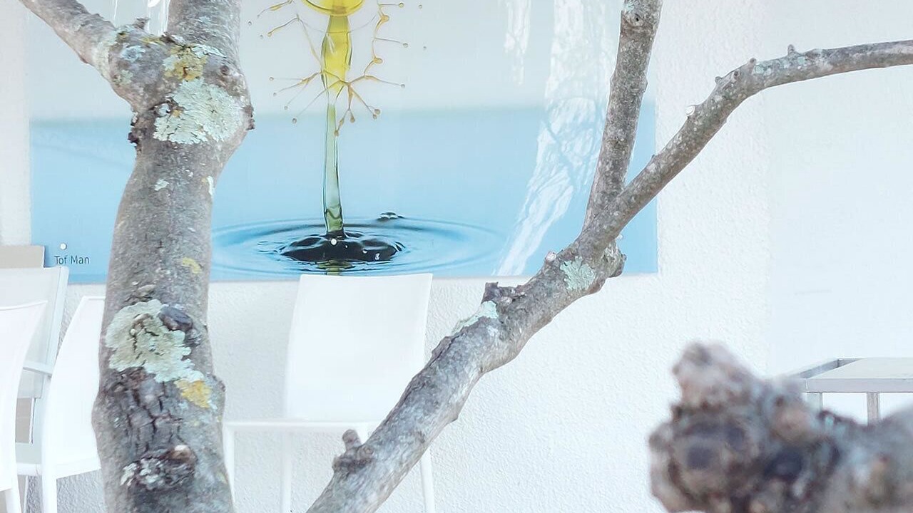 Photo of Others in Bagard