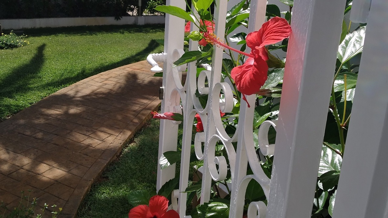Photo of Outdoor in Les Deveses