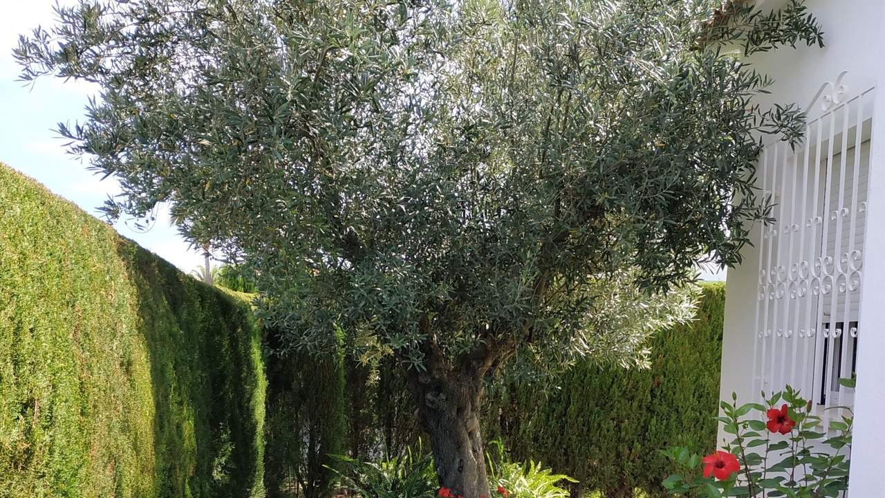 Photo of Outdoor in Les Deveses