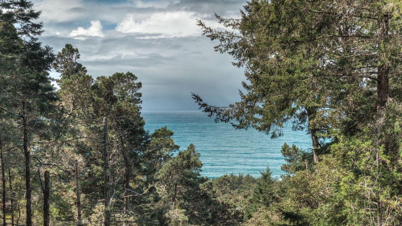 Photo of Others in Sea Ranch