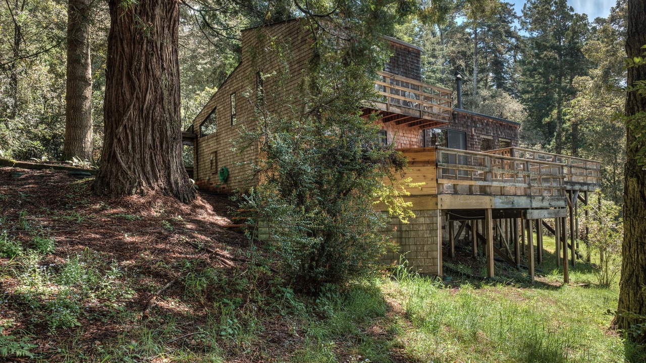 Photo of Outdoor in Sea Ranch