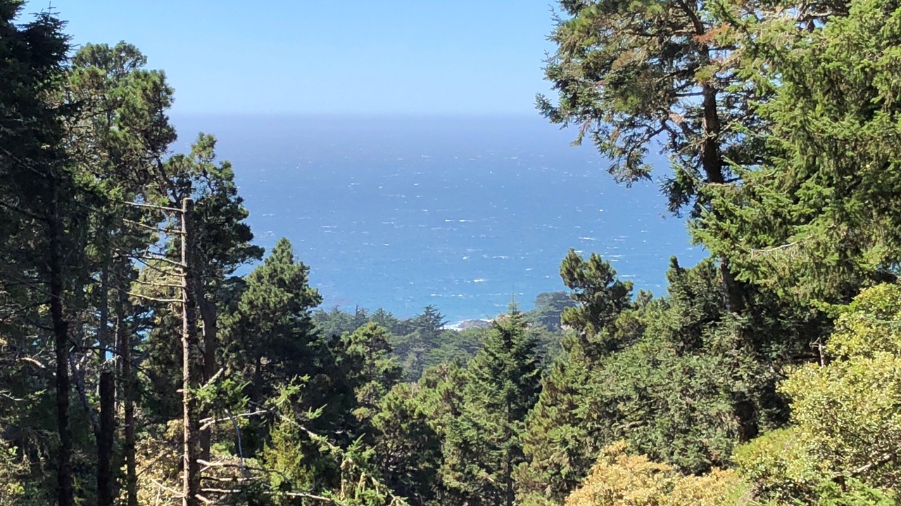 Photo of Others in Sea Ranch