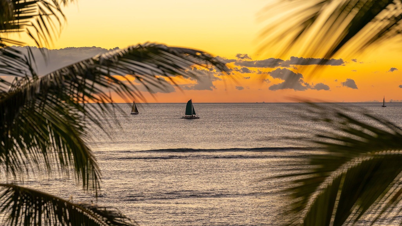 Photo of Others in Diamond Head - Kapahulu - St. Louis