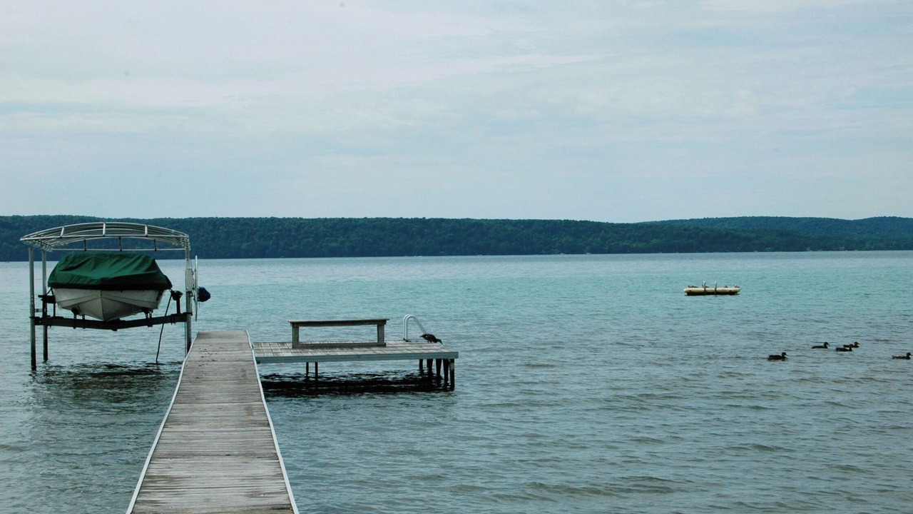 Photo of Others in Maple City