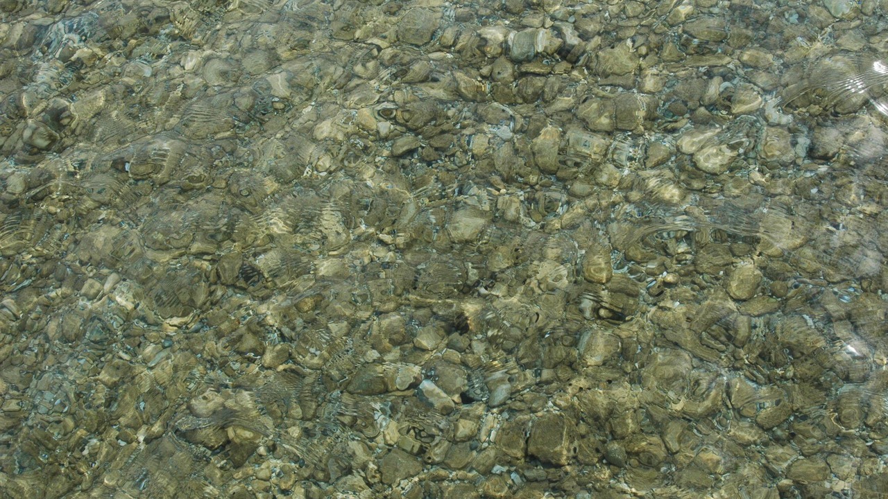 Photo of Others in Maple City