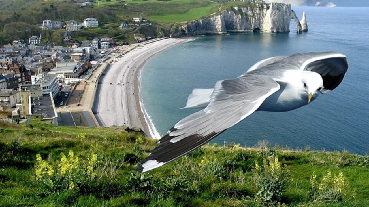 Photo of Others in Etretat