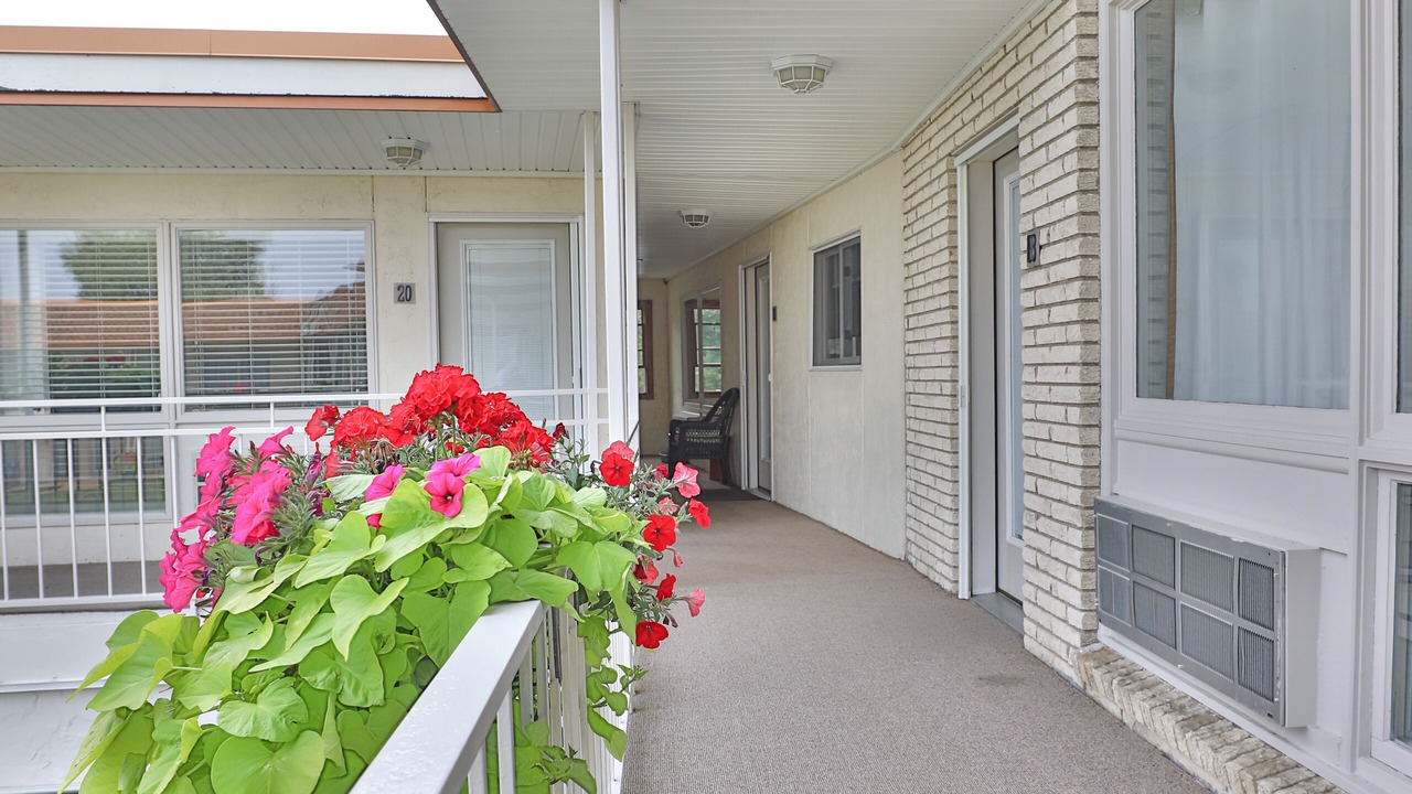 Photo of Outdoor in Conway