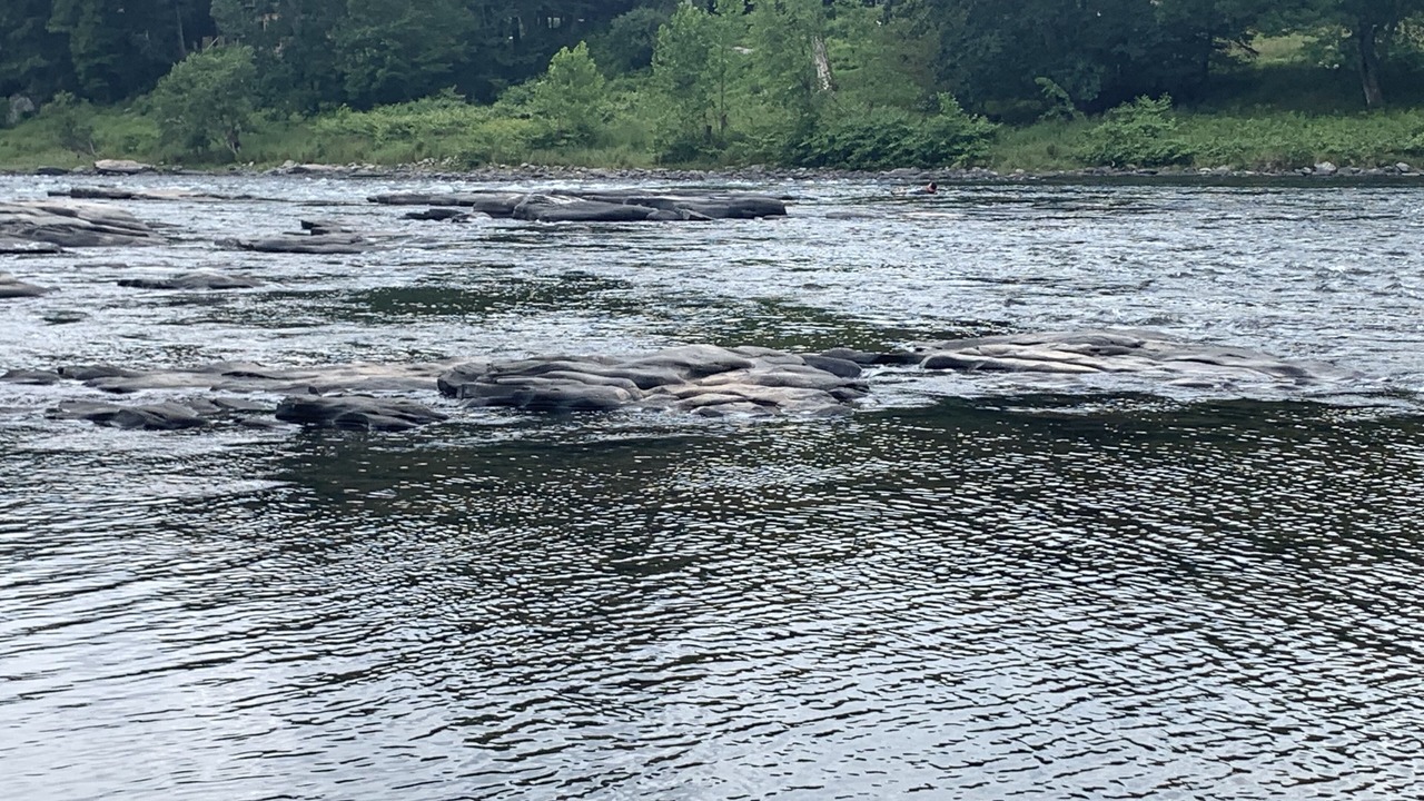 Photo of Others in Beach Lake