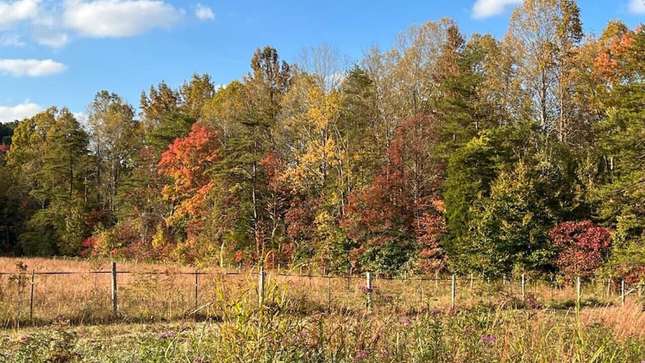 Photo of Outdoor in Waneta