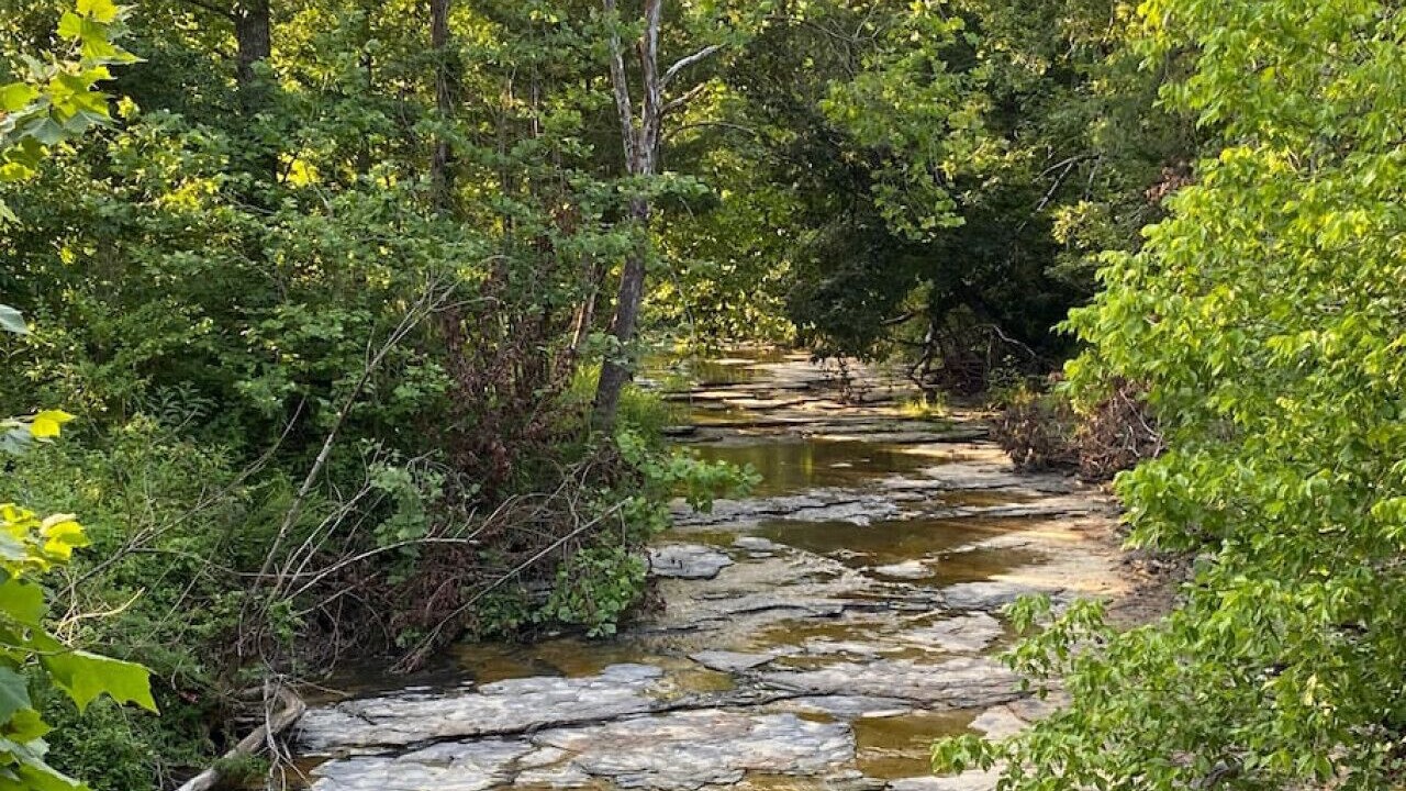 Photo of Outdoor in Waneta