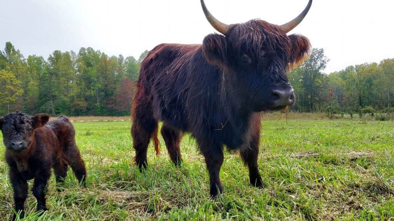 Photo of Outdoor in Waneta