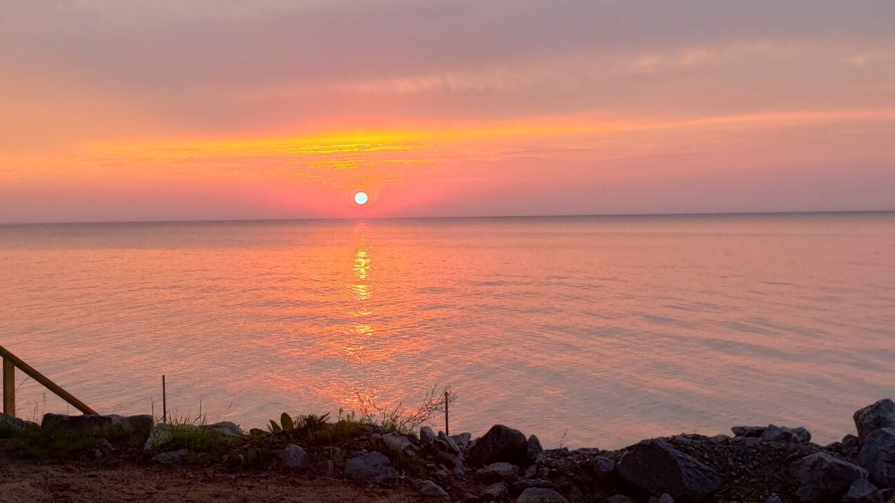 Photo of Others in Oscoda