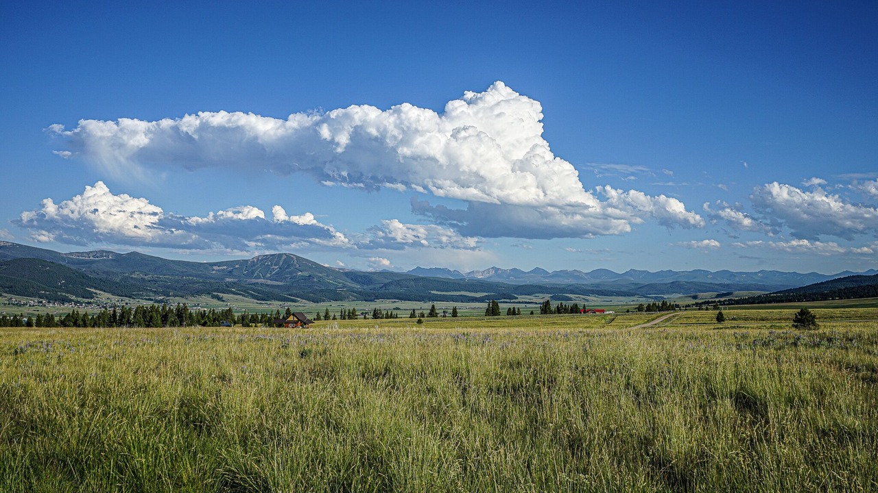 Photo of Others in Philipsburg