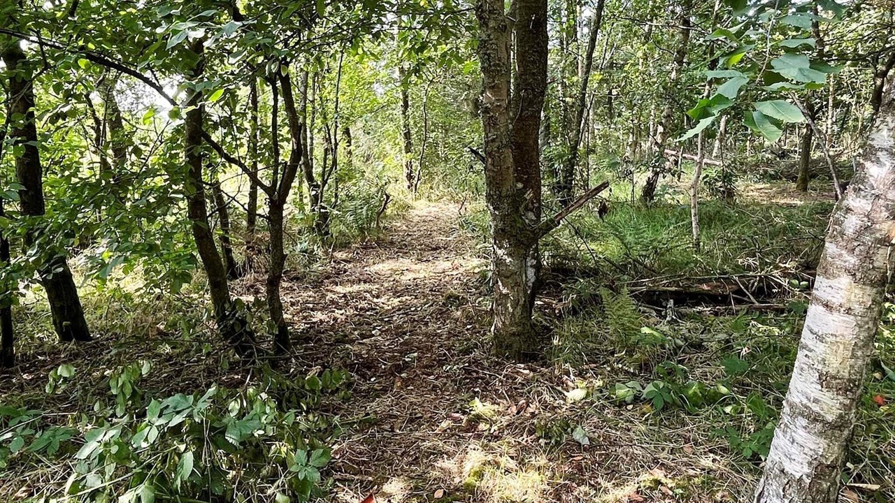 Photo of Outdoor in Lodbjerg Hede