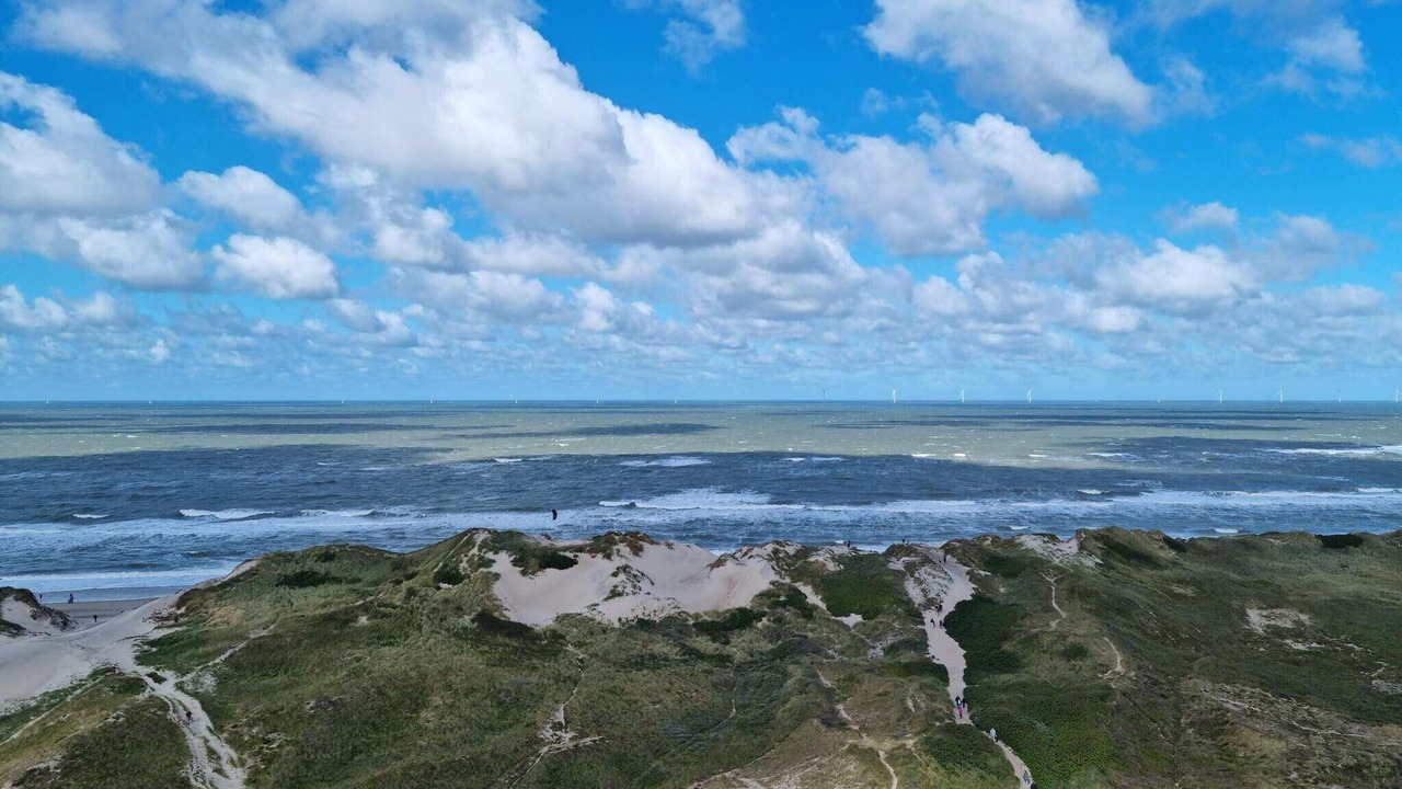 Photo of Others in Lodbjerg Hede