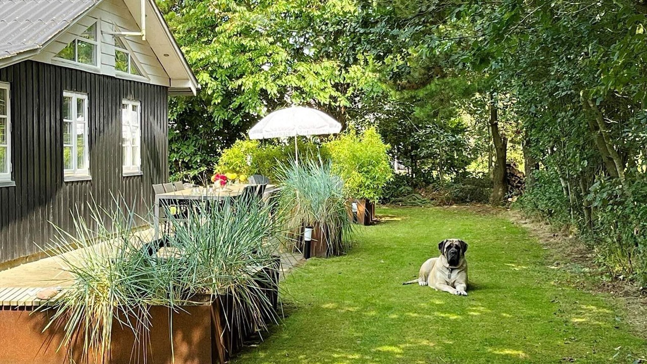 Photo of Outdoor in Lodbjerg Hede