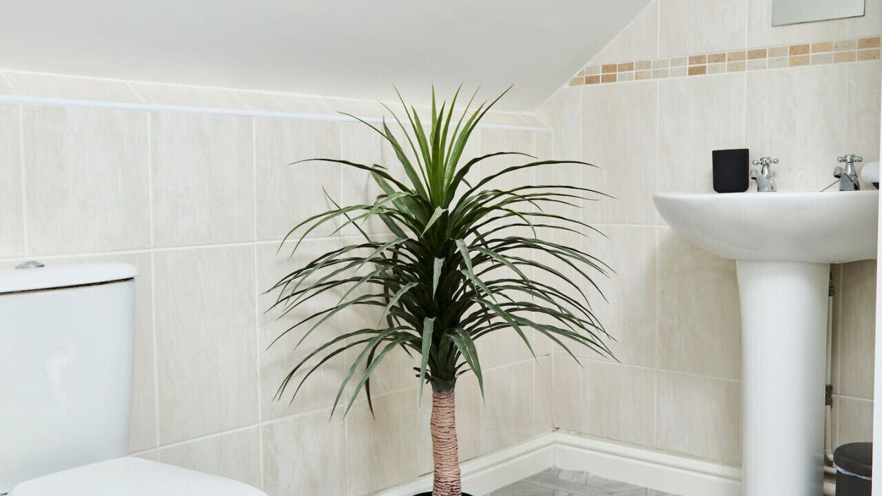 Photo of Bathroom in Castle Donington