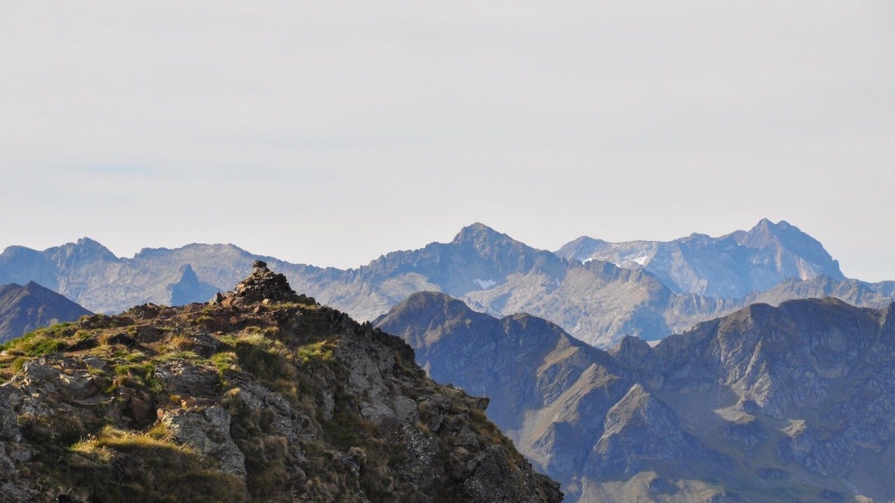 Photo of Others in Antist