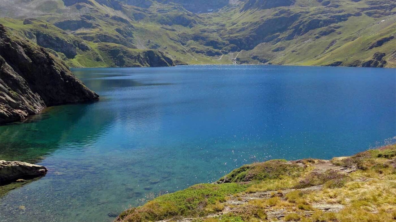 Photo of Others in Antist