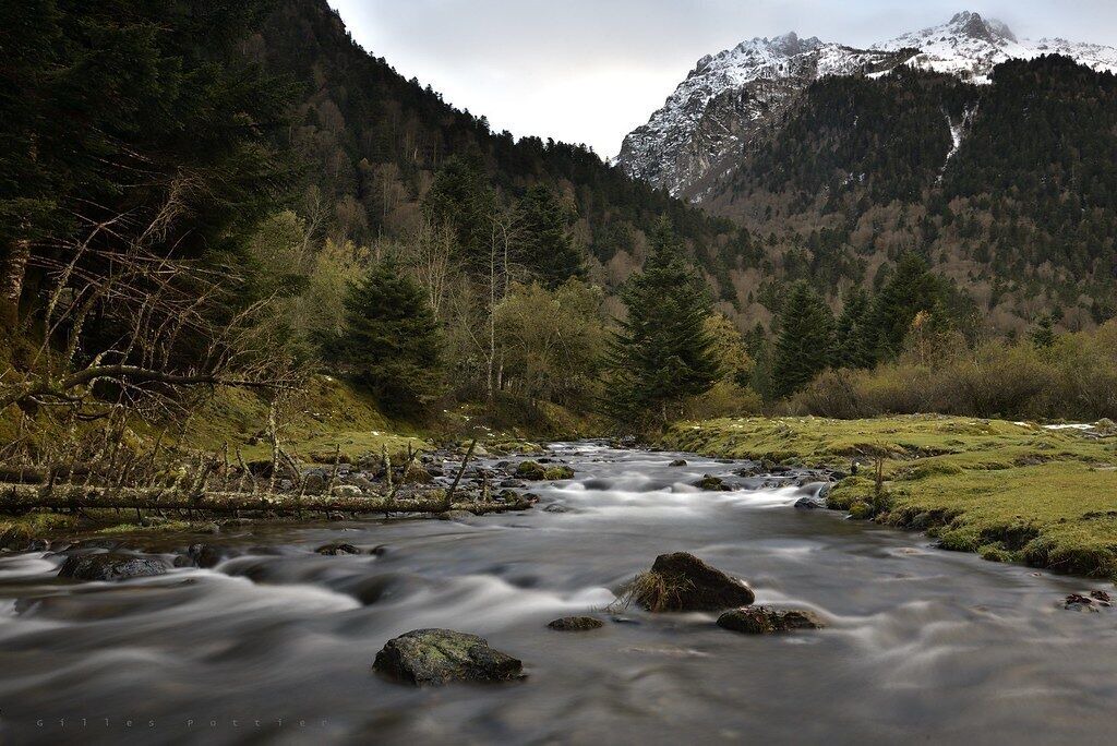 Photo of Others in Antist