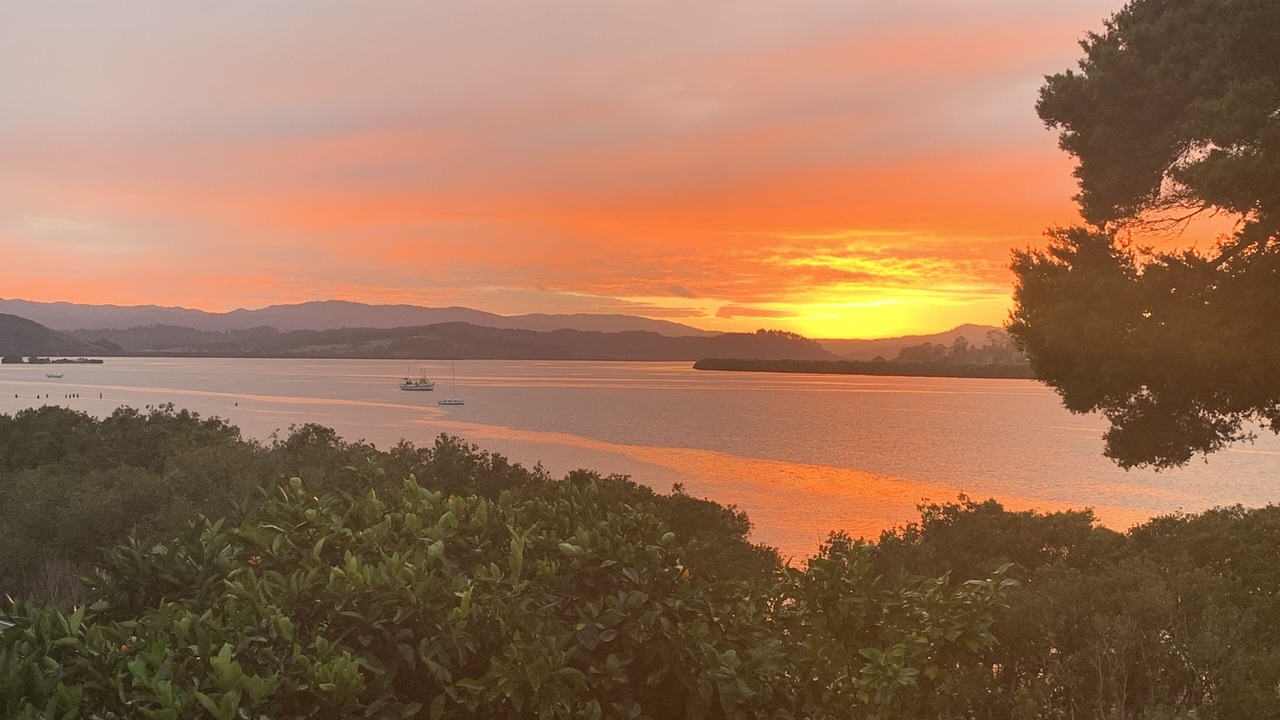 Photo of Others in Kohukohu