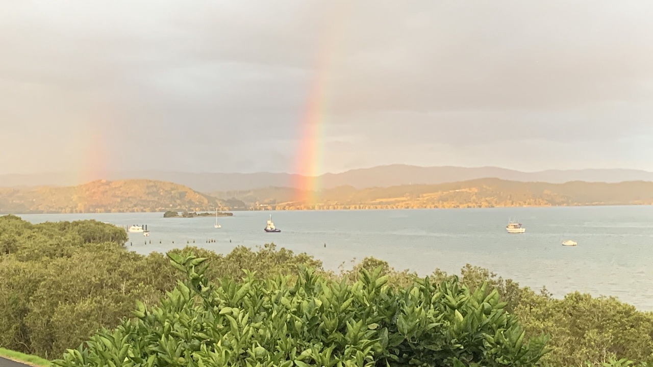 Photo of Others in Kohukohu