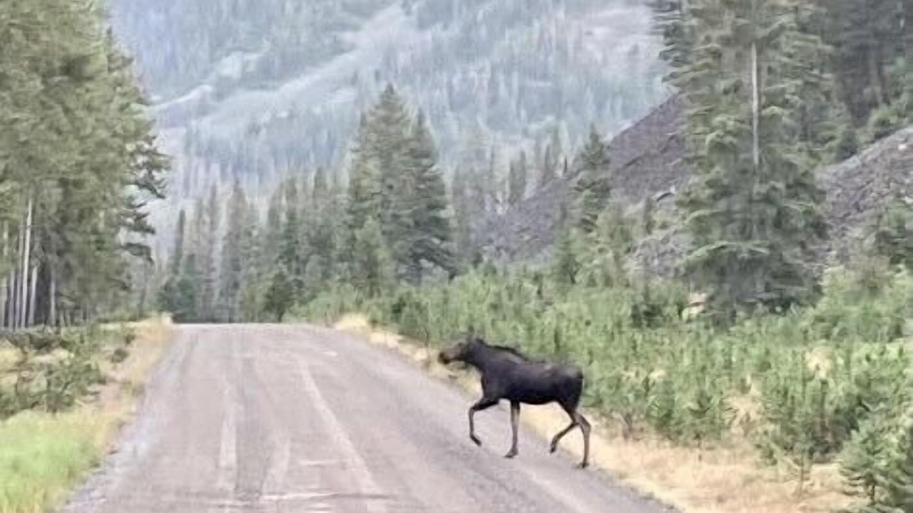 Photo of Others in Four Range