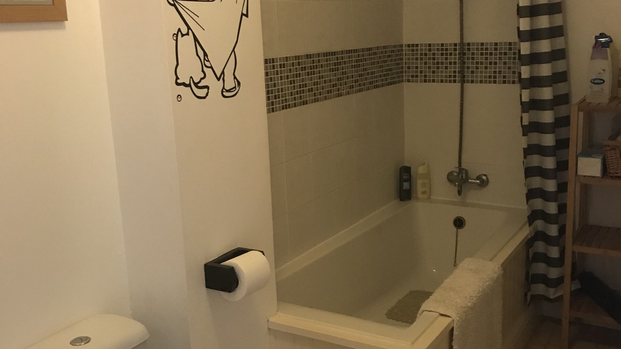 Photo of Bathroom in Brigueuil