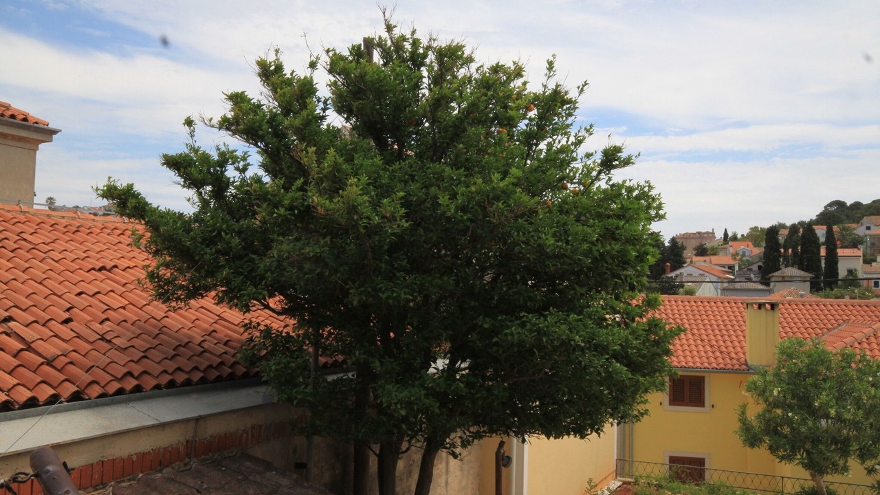 Photo of Patio Balcony in Cove Murtar